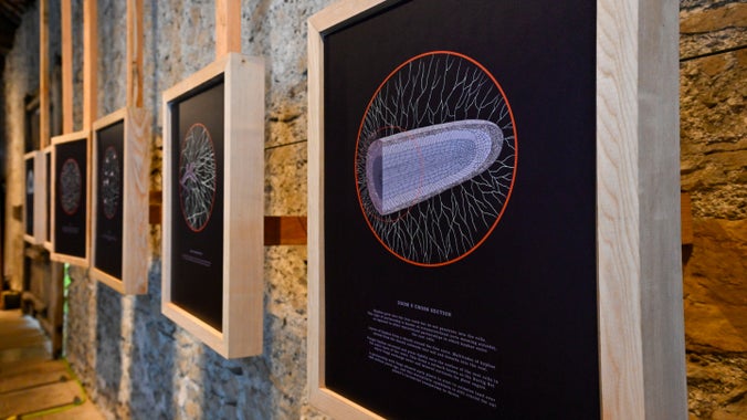 Soil exhibition at Sizergh